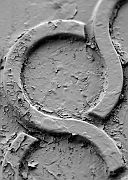 Wall_Art_Alphabet_Photography_Art_ 1858